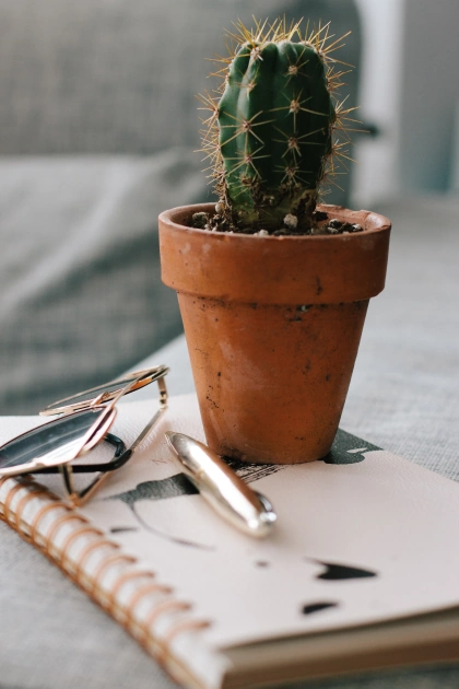 5 Simple Ways to Decorate College Dorm Rooms