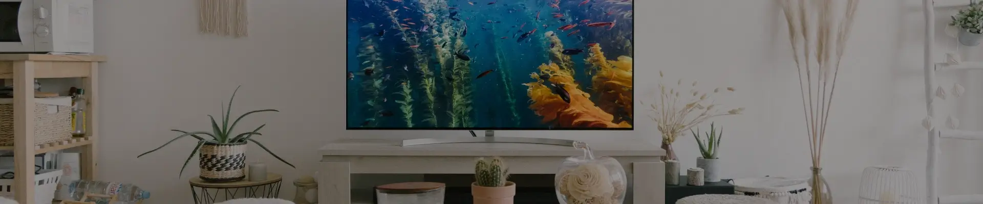 Perfect Setup to Binge Watch Your Favorite Shows