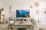 Perfect Setup to Binge Watch Your Favorite Shows