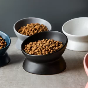 Meowford Ceramic Cat Bowl