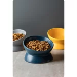 Meowford Ceramic Cat Bowl