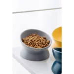 Meowford Ceramic Cat Bowl