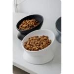 Meowford Ceramic Cat Bowl