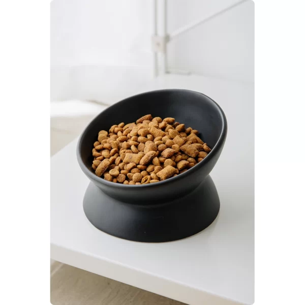Meowford Ceramic Cat Bowl