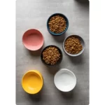 Meowford Ceramic Cat Bowl