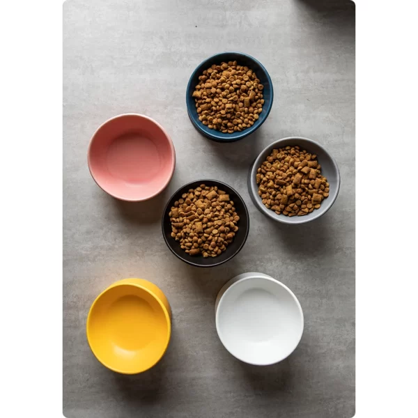 Meowford Ceramic Cat Bowl