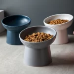 Wobbleton Ceramic Cat Bowl