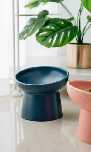 Wobbleton Ceramic Cat Bowl