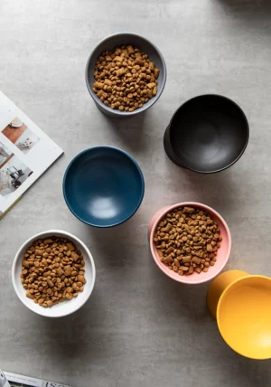 Wobbleton Ceramic Cat Bowl