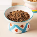 Merrydale Ceramic Cat Bowl