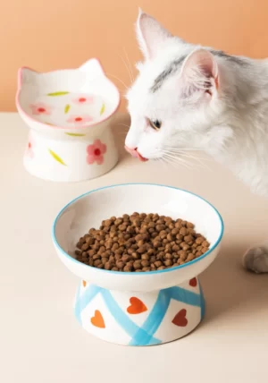 Merrydale Ceramic Cat Bowl