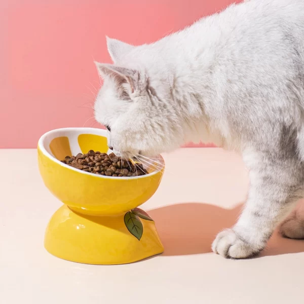 Lavenham Ceramic Cat Bowl