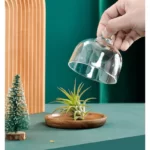 4.1″ Side Plate with Glass Dome