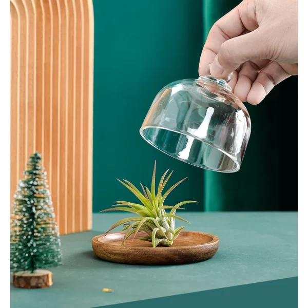 4.1″ Side Plate with Glass Dome