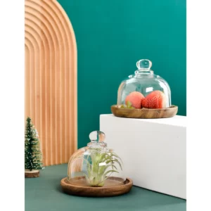 4.1″ Side Plate with Glass Dome