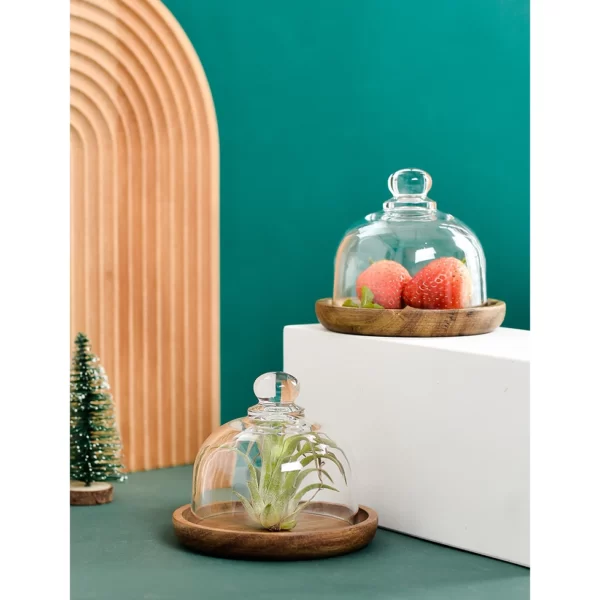 4.1″ Side Plate with Glass Dome