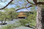 With Love From Japan: The Art of Food