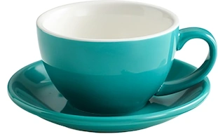 Bonheur 10 oz Ceramic Cup & Saucer