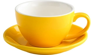 Bonheur 10 oz Ceramic Cup & Saucer