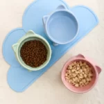 Frogmore Ceramic Cat Bowl