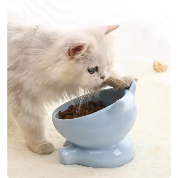 Frogmore Ceramic Cat Bowl