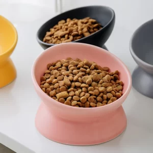 Meowford Ceramic Cat Bowl