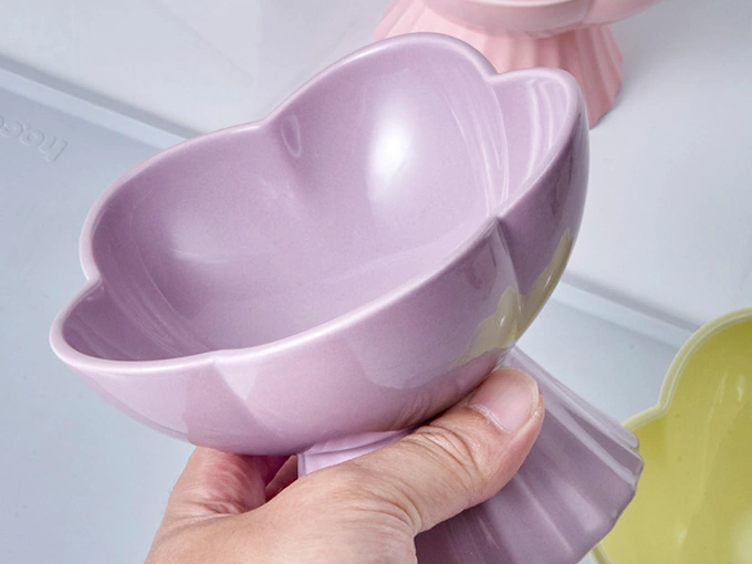 Ceramic Cat Dishes: Pros, Cons, and Raised Feeders