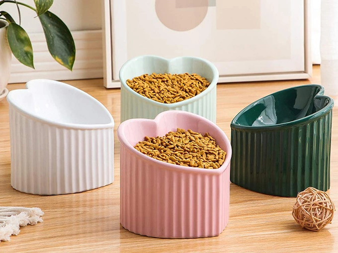 Ceramic Cat Dishes: Pros, Cons, and Raised Feeders