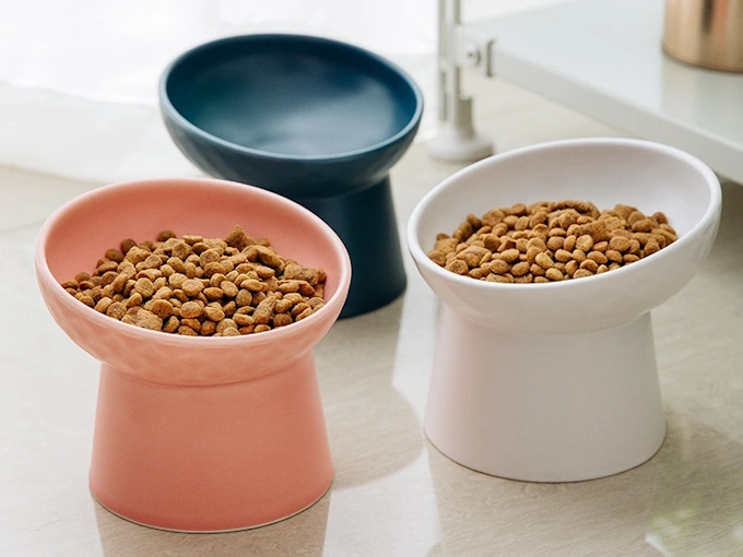 Ceramic Cat Dishes: Pros, Cons, and Raised Feeders