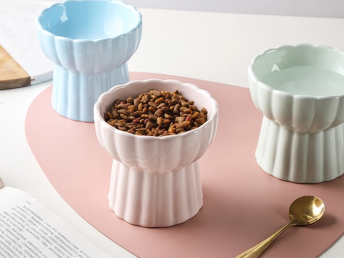 Ceramic Cat Dishes: Pros, Cons, and Raised Feeders