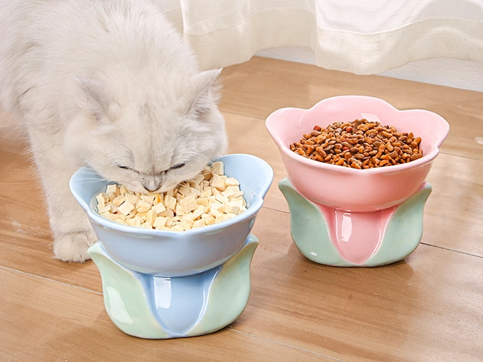Ceramic Cat Dishes: Pros, Cons, and Raised Feeders