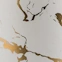 Geneva Gilded Ceramic Liquid Soap Dispenser