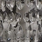 Versailles Droplet Glass Foaming Soap Dispenser